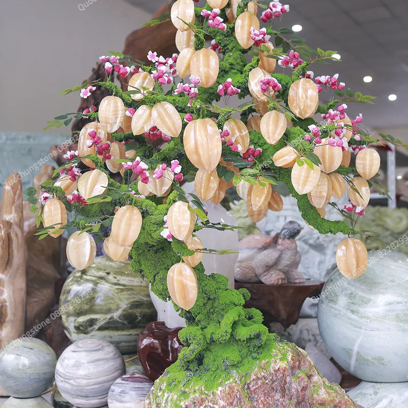 Cây Khế Ngọc Hoàng Long – Lộc Vàng Sung Túc