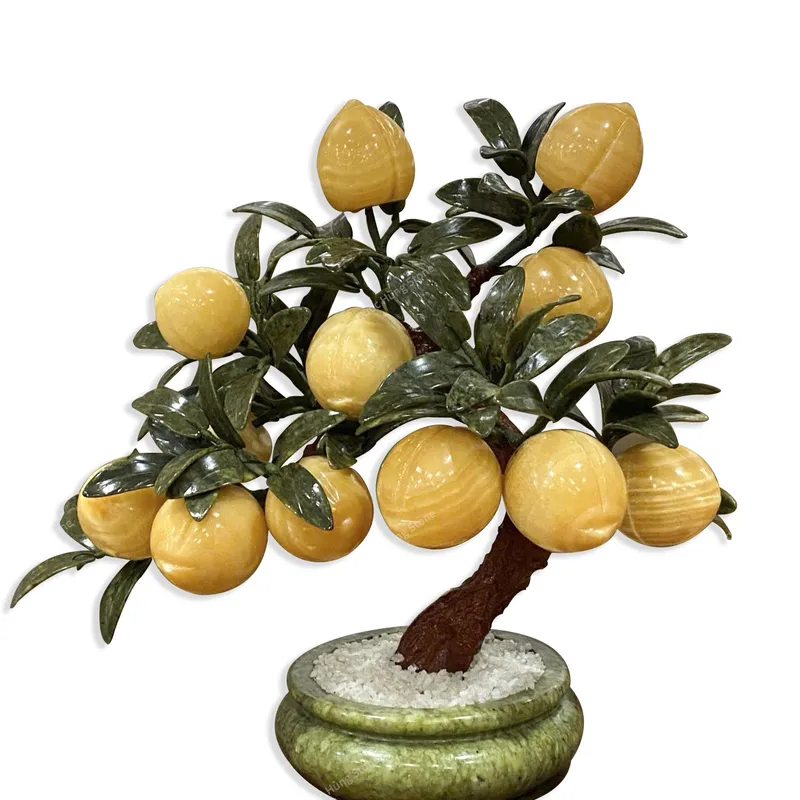 Cây Đào Ngọc Hoàng Long 12 quả