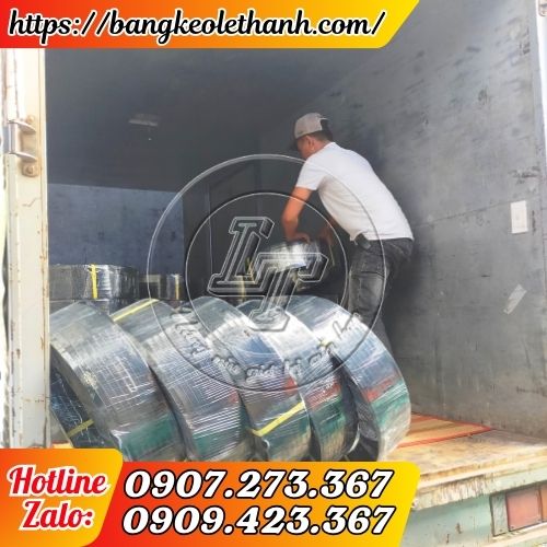 Lên hàng dây đai pét trơn màu đen cho khách sỉ