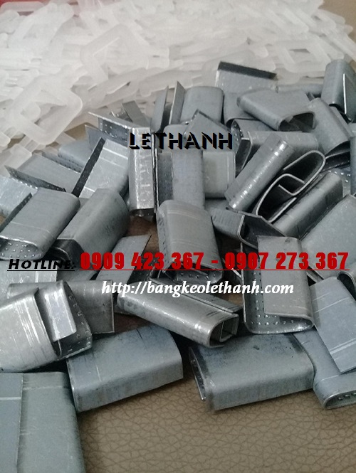 Bo - khoa - day - dai Bo - khoa - day - dai