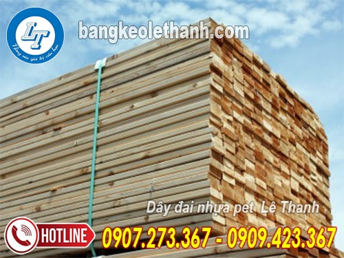 Dây đai nhựa pet