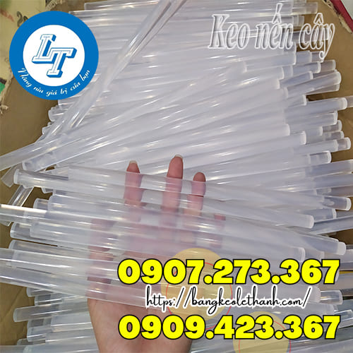 Keo nến cây trắng trong
