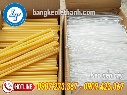 Keo nến cây Keo nến cây