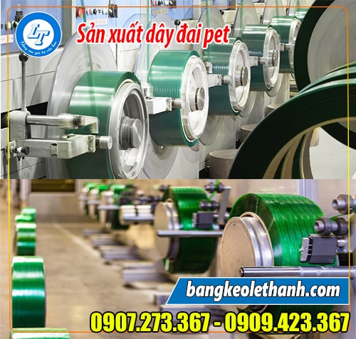 Lê Thanh sản xuất day đai pet