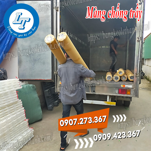 Màng chống trầy