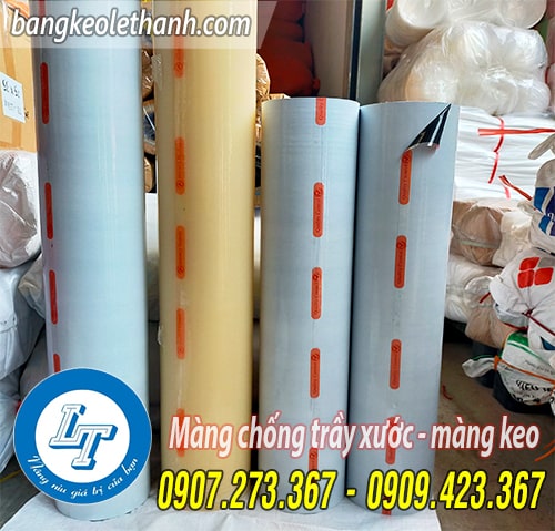 Màng chống trầy