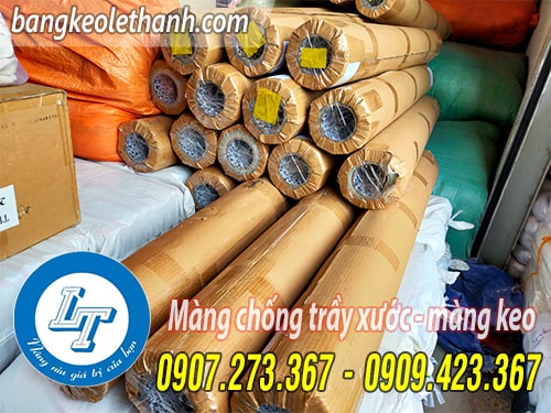 Màng keo, màng chống trầy
