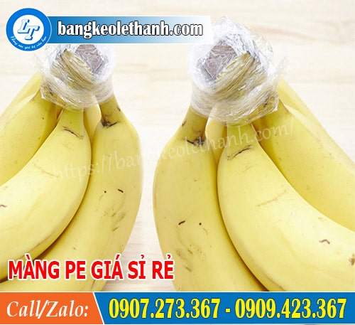 Màng pe bọc thực phẩm