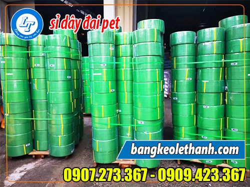 Sỉ dây đai pet