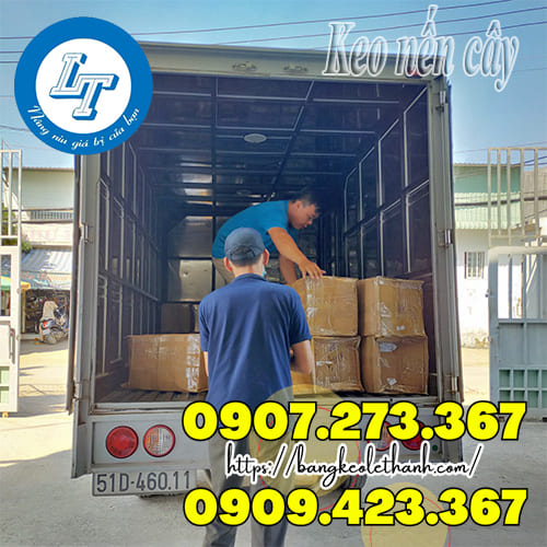 Sỉ keo nến cây giá rẻ nhất hiện nay