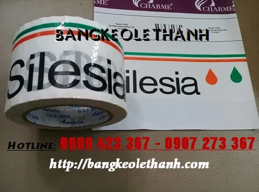 NHẬN IN LOGO, IN CHỮ LÊN BĂNG KEO - CÔNG TY LÊ THANH