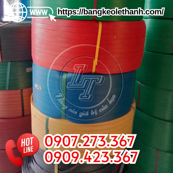 DÂY ĐAI NHỰA ĐAN GIỎ