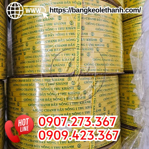 DÂY ĐAI NHỰA IN LOGO