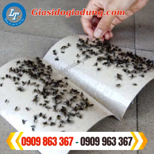 keo dính ruồi chất lượng giá sỉ cực rẻ