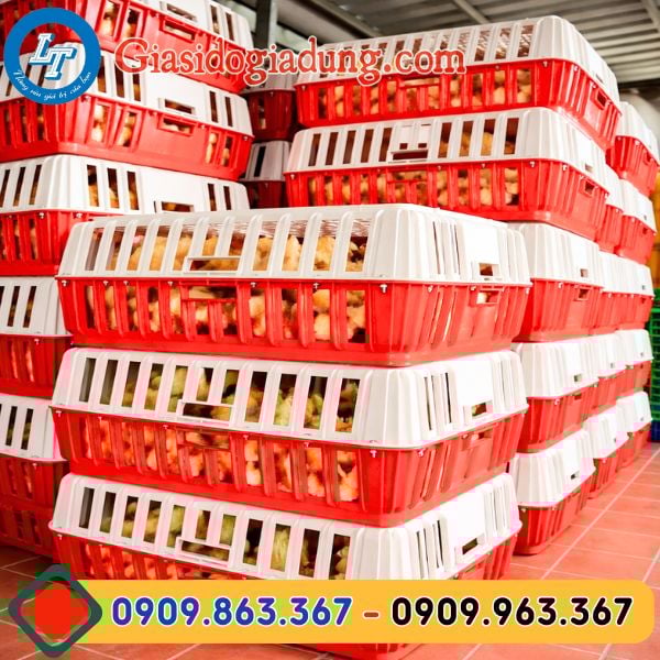 lồng bắt gà con cao cấp giá sỉ tận gốc