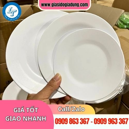 xưởng sản xuất và cung cấp đĩa nhựa chất lượng giá sỉ rẻ tại tphcm