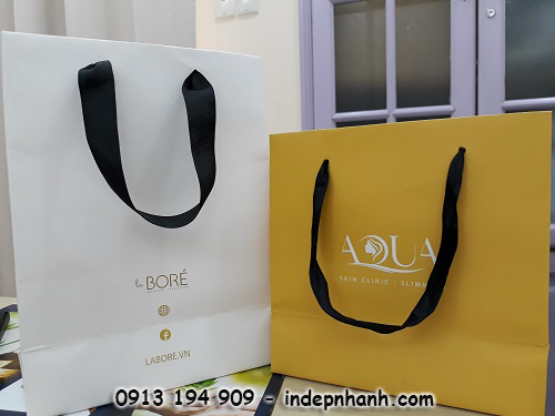 sản phẩm in túi giấy mỹ phẩm giá rẻ tại indepnhanh.com.vn