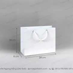 V54: TÚI GIẤY TRẮNG NGANG V54  (18x24x8)