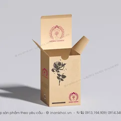 IN HỘP GIẤY KRAFT