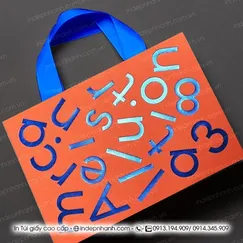 IN TÚI GIẤY CAO CẤP