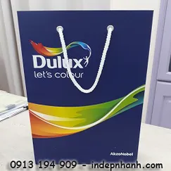 IN TÚI GIẤY CHO DOANH NGHIỆP