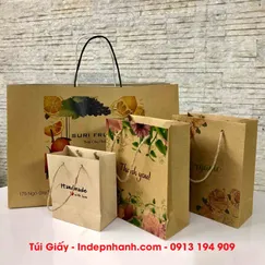 IN TÚI GIẤY KRAFT GIÁ RẺ