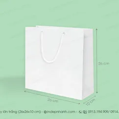 L11- TÚI GIẤY LỚN TRẮNG (26x26x10)