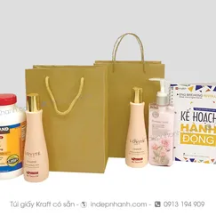 V54: TÚI GIẤY KRAFT VỪA (25x18x8)