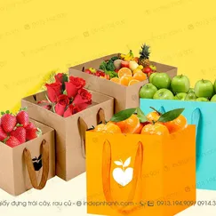 TÚI GIẤY ĐỰNG HOA QUẢ