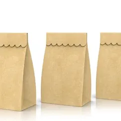 TÚI GIẤY KRAFT CÓ SẴN