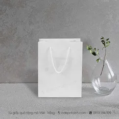 V54: TÚI GIẤY TRẮNG VỪA (24x18.x8)