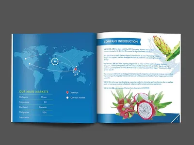 In Brochure - giá rẻ tại Tp.HCM, miễn phí test màu, làm mẫu- gọi ngay!