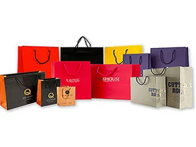 Lịch sử ra đời Túi giấy