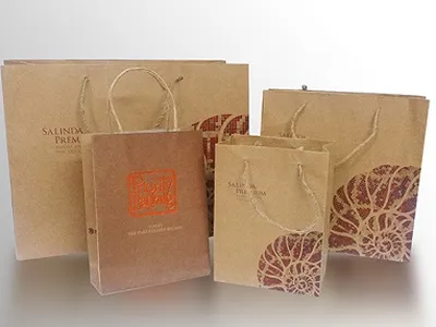 Lợi ích của việc sử dụng túi giấy tái chế