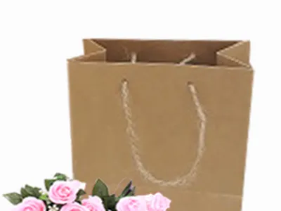 Túi giấy mini đựng quà, phụ kiện cho cửa hàng shop thời trang