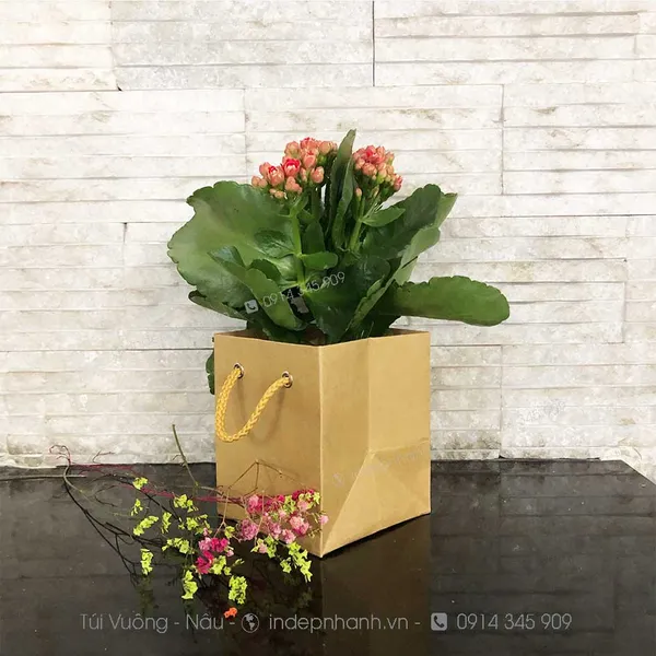 TG CHÂU CÂY NHỎ (12x10x10)