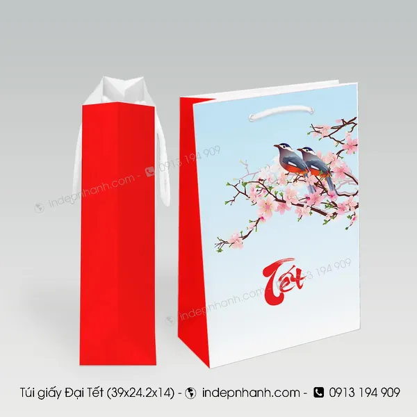 Đ11-TÚI GIẤY ĐẠI TẾT (39x24.2x14)