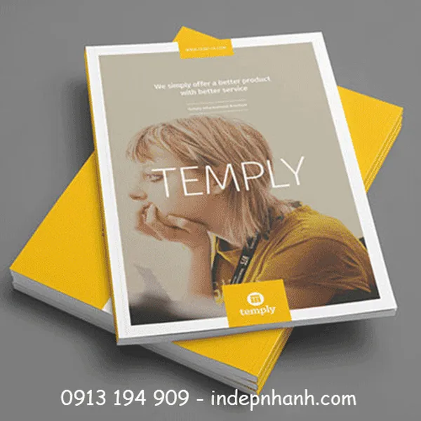 IN BROCHURE