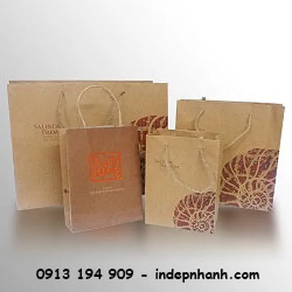 IN TÚI GIẤY KRAFT