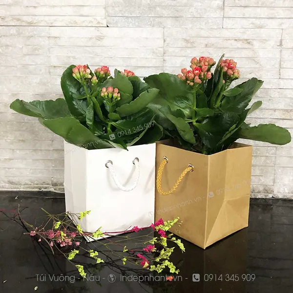 TG  ĐỰNG CHÂU CÂY NHỎ (12x10x10)