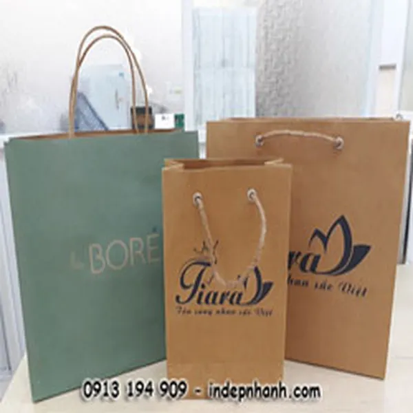 MẪU TÚI GIẤY KRAFT