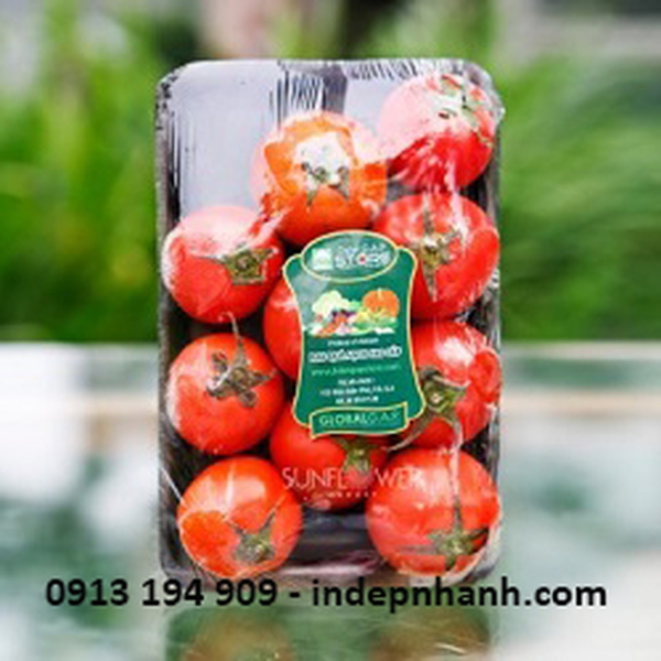 NHÃN DECAL DALATGAP