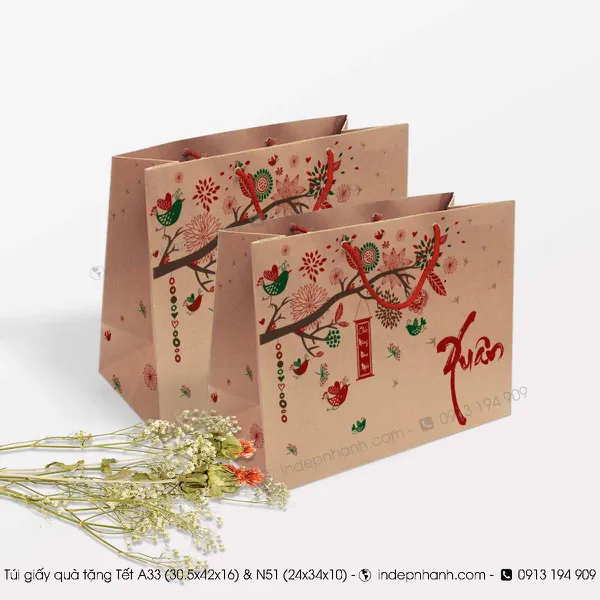 TÚI GIẤY ĐỰNG QUÀ TẶNG - TÚI GIẤY ĐỰNG QUÀ TẾT