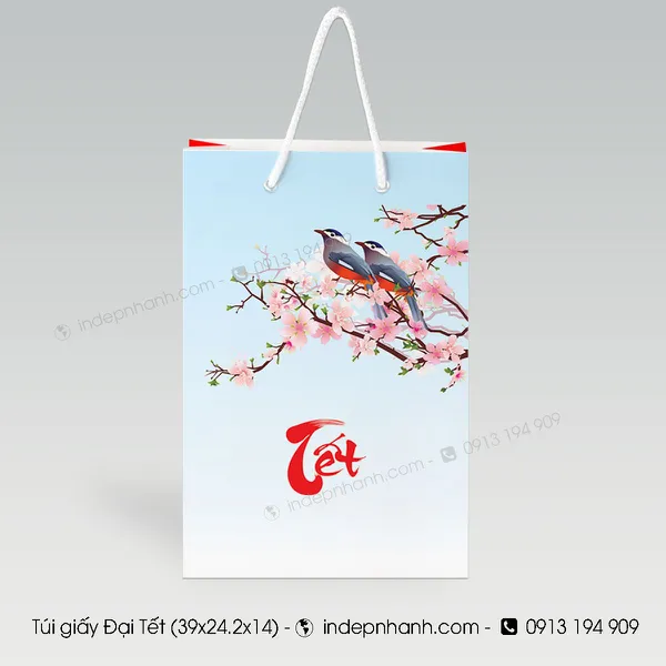 TÚI GIẤY MÀU ĐỎ