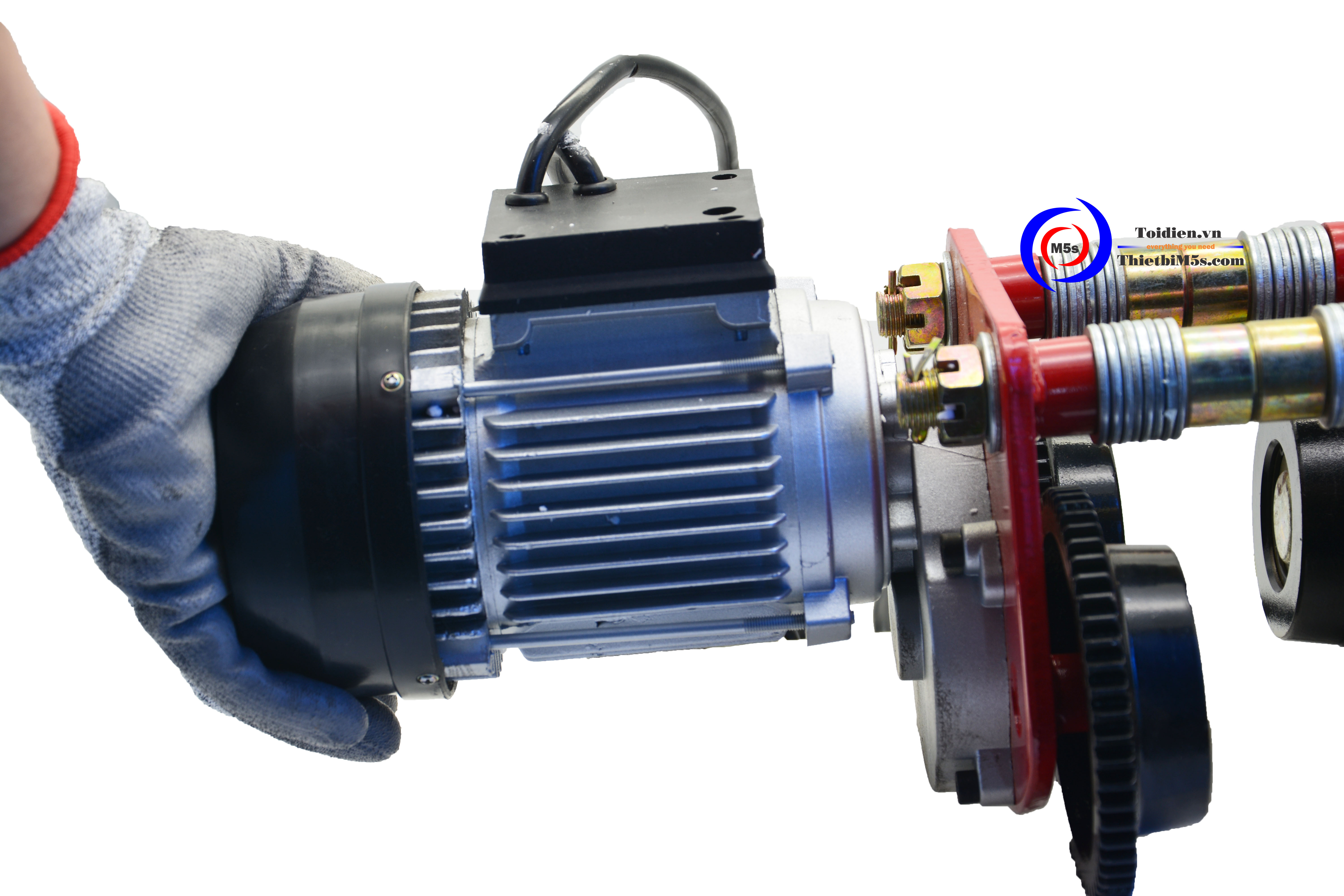 Rùa tời điện 1 tấn Rùa tời điện 1 tấn