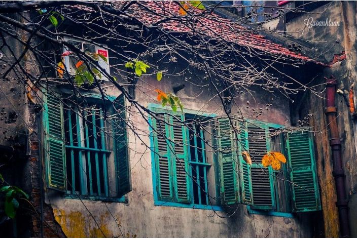 cửa gỗ vintage  cửa gỗ vintage