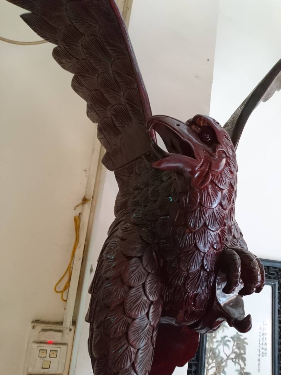 đại bàng gỗ đại bàng gỗ