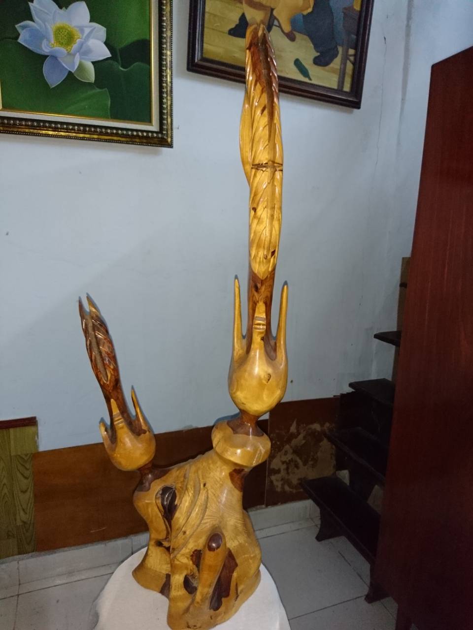 lục bình phay lục bình phay