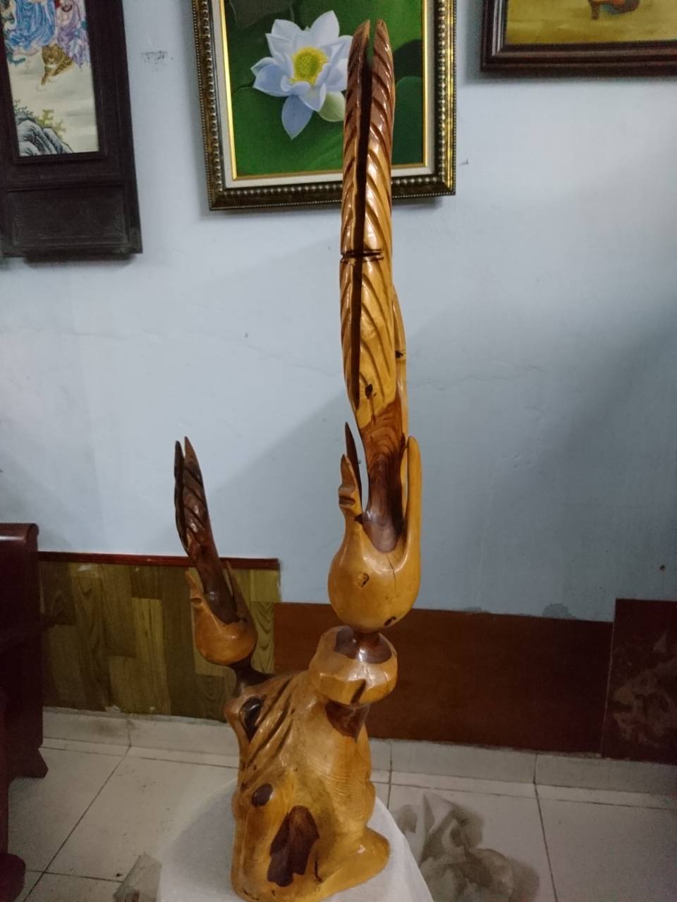 lục bình phay lục bình phay