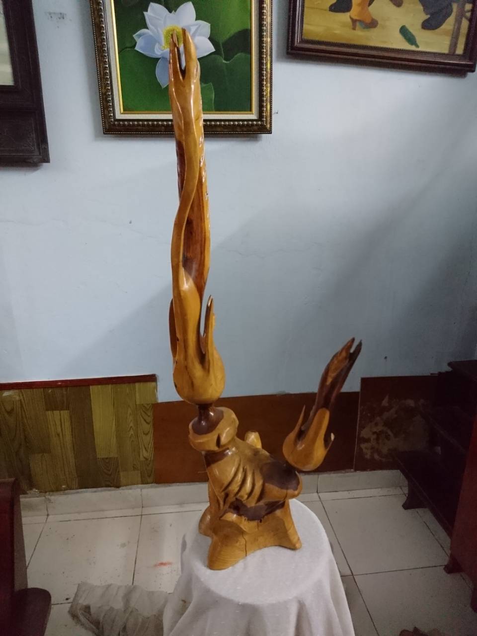 lục bình phay lục bình phay